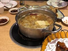 -百利鸽王(紫薇路店)