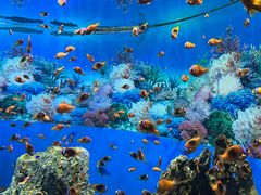 -海合安成都极地海洋公园