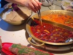 -小龙坎火锅(全球旗舰店)