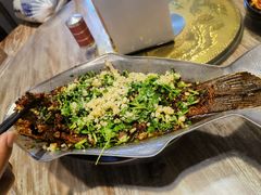 -树厨贵州菜(大十字店)