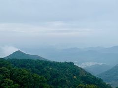 -梧桐山风景名胜区