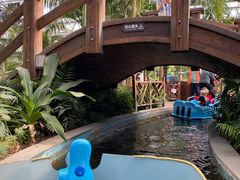 -南宫五洲植物乐园