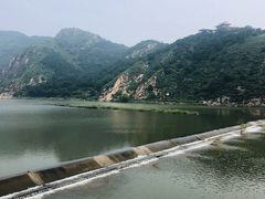-燕塞湖鸟语林景区