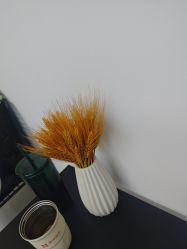 -IDESIGN艾迪赛 美学