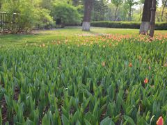 -长春公园(普阳街道)