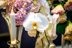 -晶浦会·宴会厅(陆家嘴店)