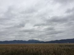 -北岐滩涂