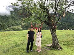 -硗碛藏寨·神木垒景区