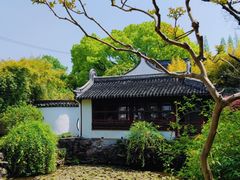 -上海醉白池公园