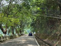 -广州市石门国家森林公园