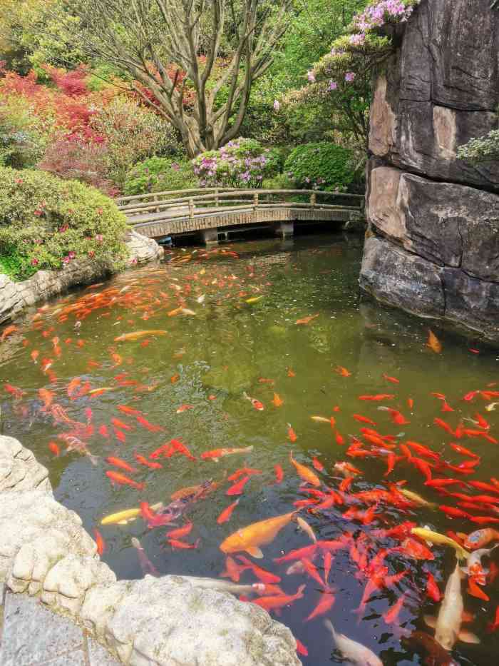 枫香园度假酒店-"隐藏在主城歌乐山脉的世外桃源.从主城各个.