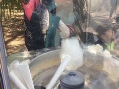 -北京动物园-畅观楼