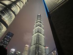 -上海柏悦酒店·世纪100牛排馆