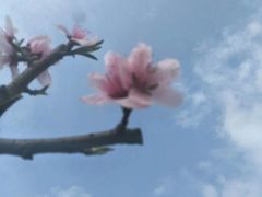 -贵阳市花溪国家城市湿地公园