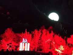 -禅宗少林·音乐大典