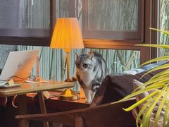 -咖法森林·咖啡  酒吧(天河店)