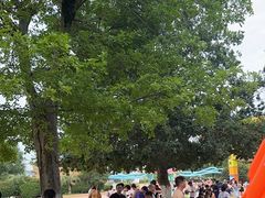 -汤山欢乐水世界