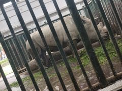 -成都动物园