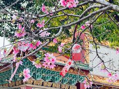 -宝墨园景区
