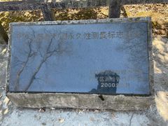 -上海佘山国家森林公园天马山园