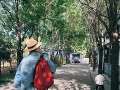 -北京鹿世界主题园