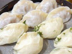 茴香鸡蛋包子-马大刚白记包子