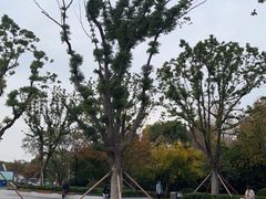 -石湖景区
