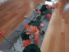 -南宫温泉水世界