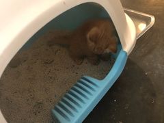 -时光转角咖啡馆(西康路店)