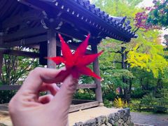 -常寂光寺