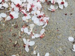 -山东师范大学(千佛山校区)
