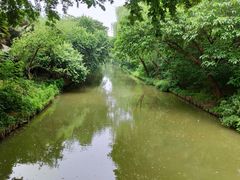 -同里国家湿地公园