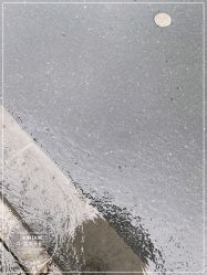 -金太子形象设计