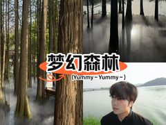 -东湖落雁景区
