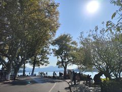 -楼外楼(西湖景区孤山路店)