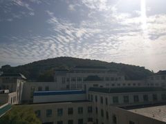 -武汉大学图书馆·文理学部总馆