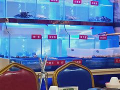 -小龍鳳·港式海鲜打边炉(沙湖路店)