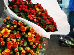 -双季花艺园艺市场(浦东店)