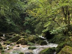 -西岭雪山大飞水景区