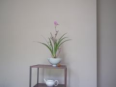 -见山茶事(丽水路店)
