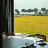 永远可以相信苏州的浪漫🥀稻田边吃大闸蟹