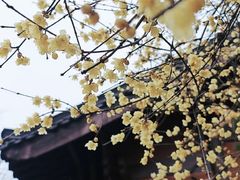-钱王祠