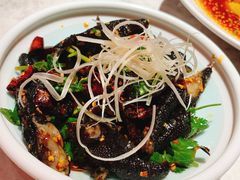 -天辣(金桥啦啦宝都店)