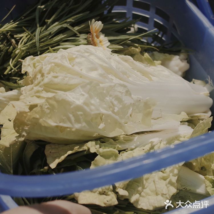 假日农家乐走起.#凤凰山农趣谷