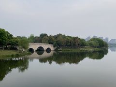 -眉山湿地公园(东坡区)