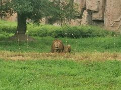 -齐齐哈尔龙沙动植物园