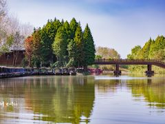 -溱湖国家湿地公园