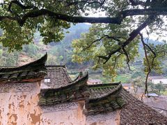 -杨家堂村