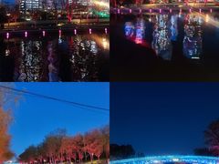-大望京公园