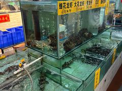 -寻味顺德·南记酒家·传统顺德菜·鱼生(广源路店)